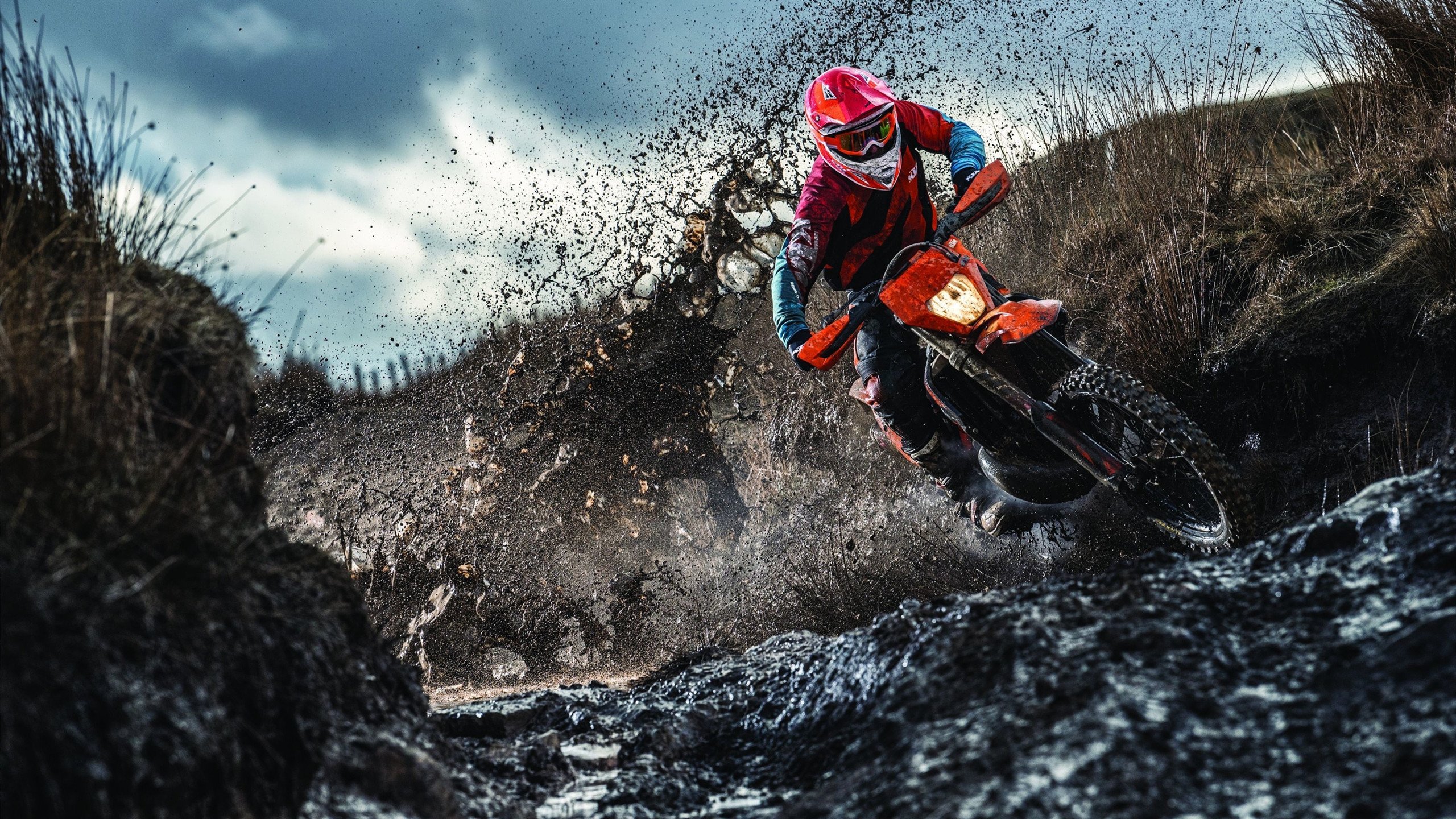 城市赛事停车指引发布助力观众高效到场与离场，城市赛官网