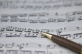 开云体育链接-NBA球员职业规划建议与实施，nba球员怎么规划锻炼和训练