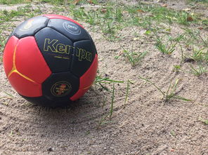 开云集团中国官网-世界青年手球锦标赛中国队勇夺三连胜，世界手球锦标赛几年一次